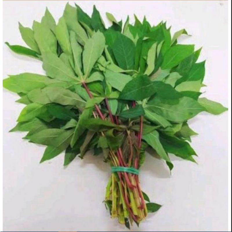 

daun singkong 1 ikat