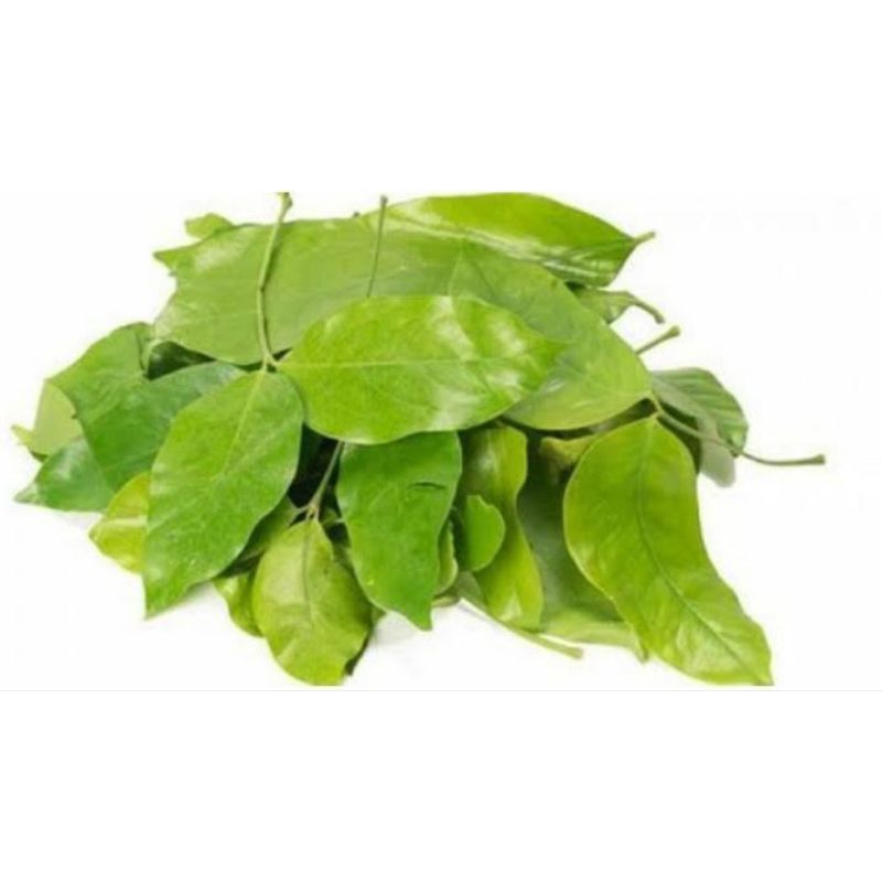 

daun melinjo segar 50gr