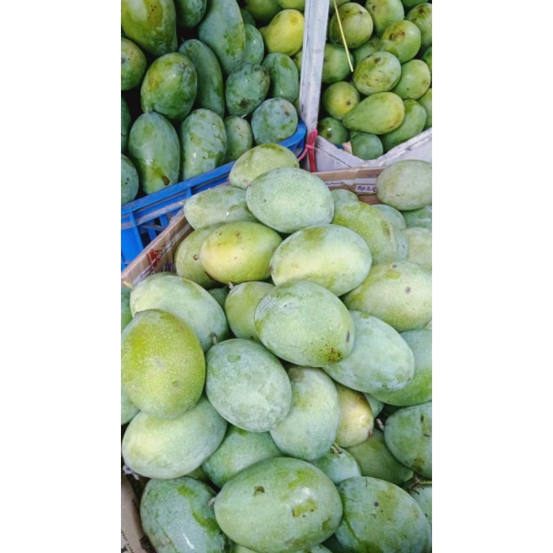 

Mangga Muda 800GRAM || Harga grosir termurah di shope