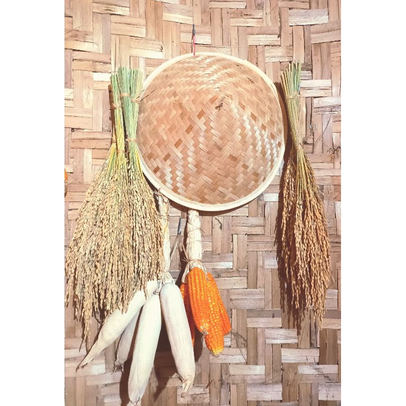 padi ikat kering untuk dekorasi