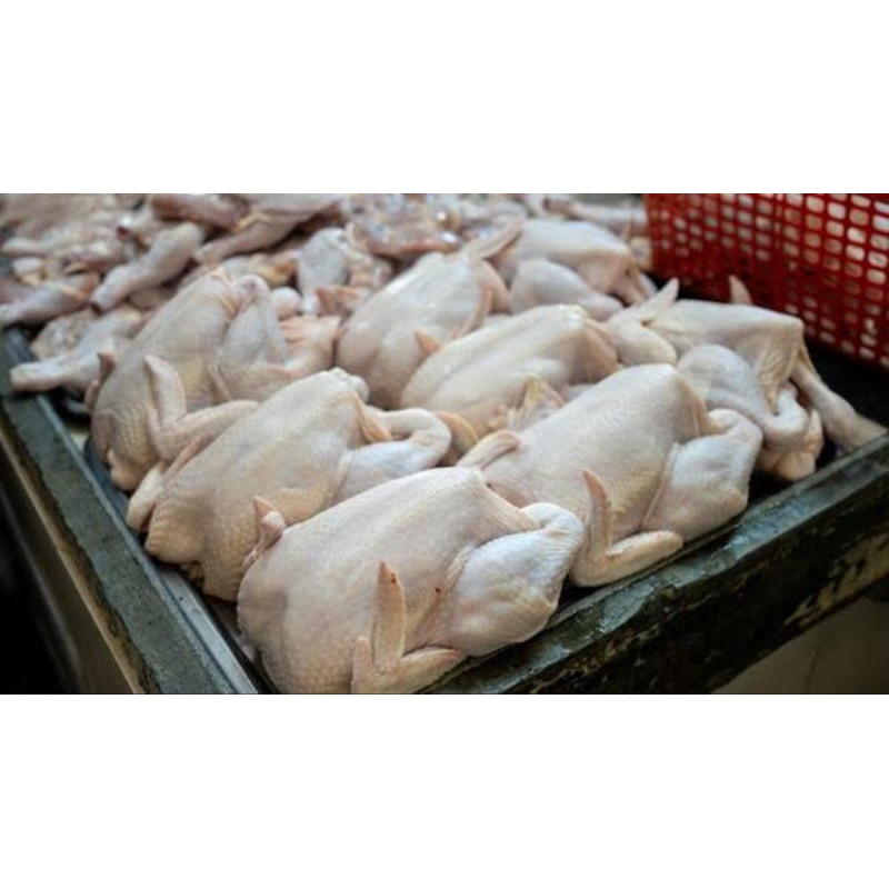 

Ayam segar fresh/ ayam negeri segar potong 1.3kg kurang lebih/ ayam potong boiler