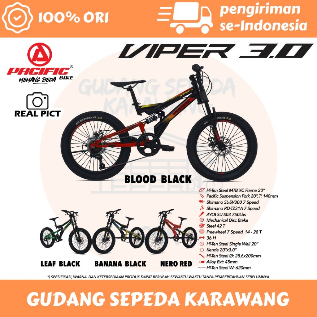 SEPEDA GUNUNG ANAK PACIFIC VIPER BAN 3.0 20 INCH