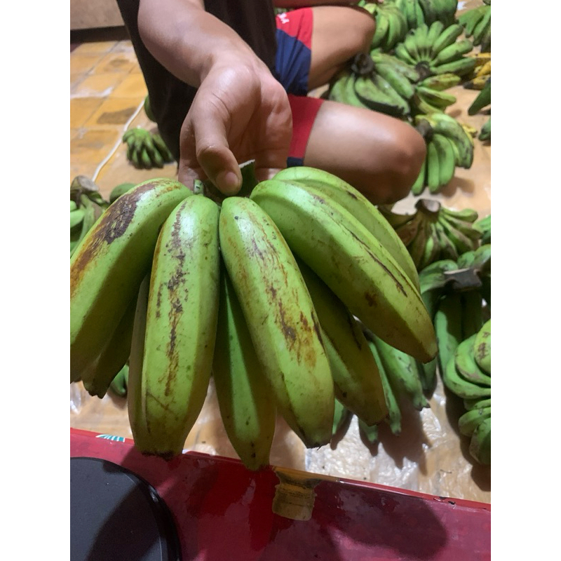 

pisang raja ambon 1sisir