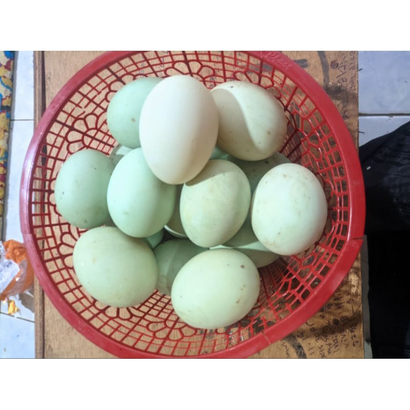 

telur asin