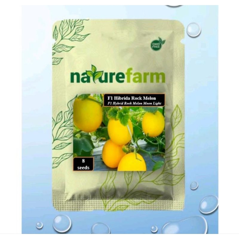 benih bibit melon golden hibrida melon rock F1 isi 8 butir