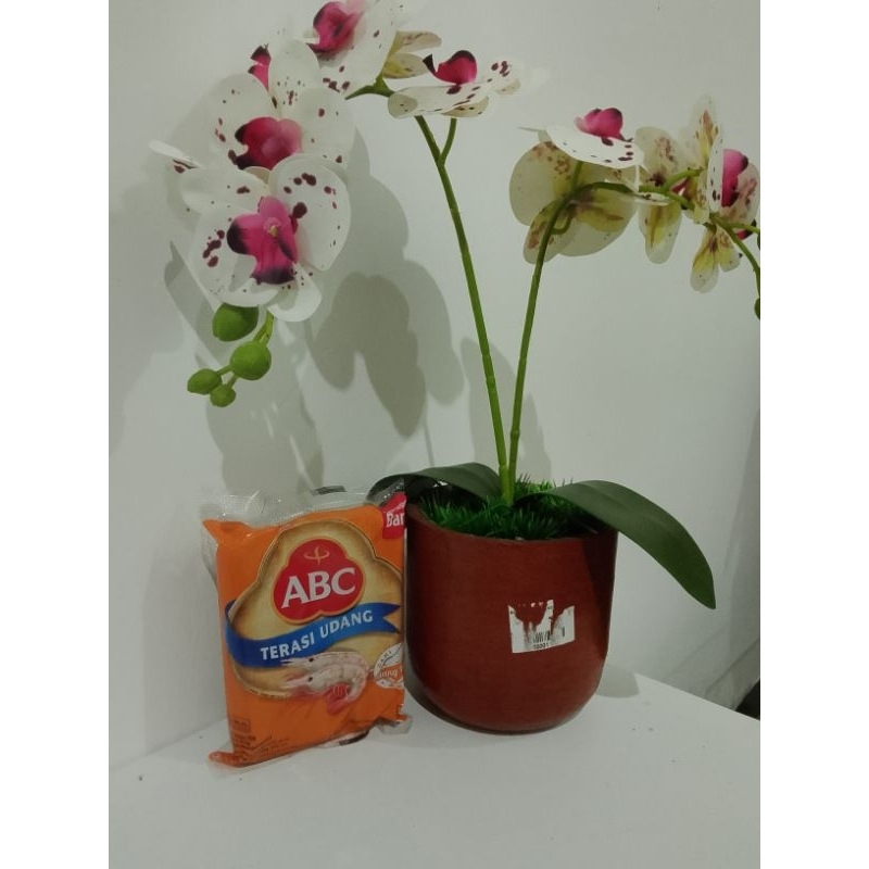 

terasi udang "ABC
