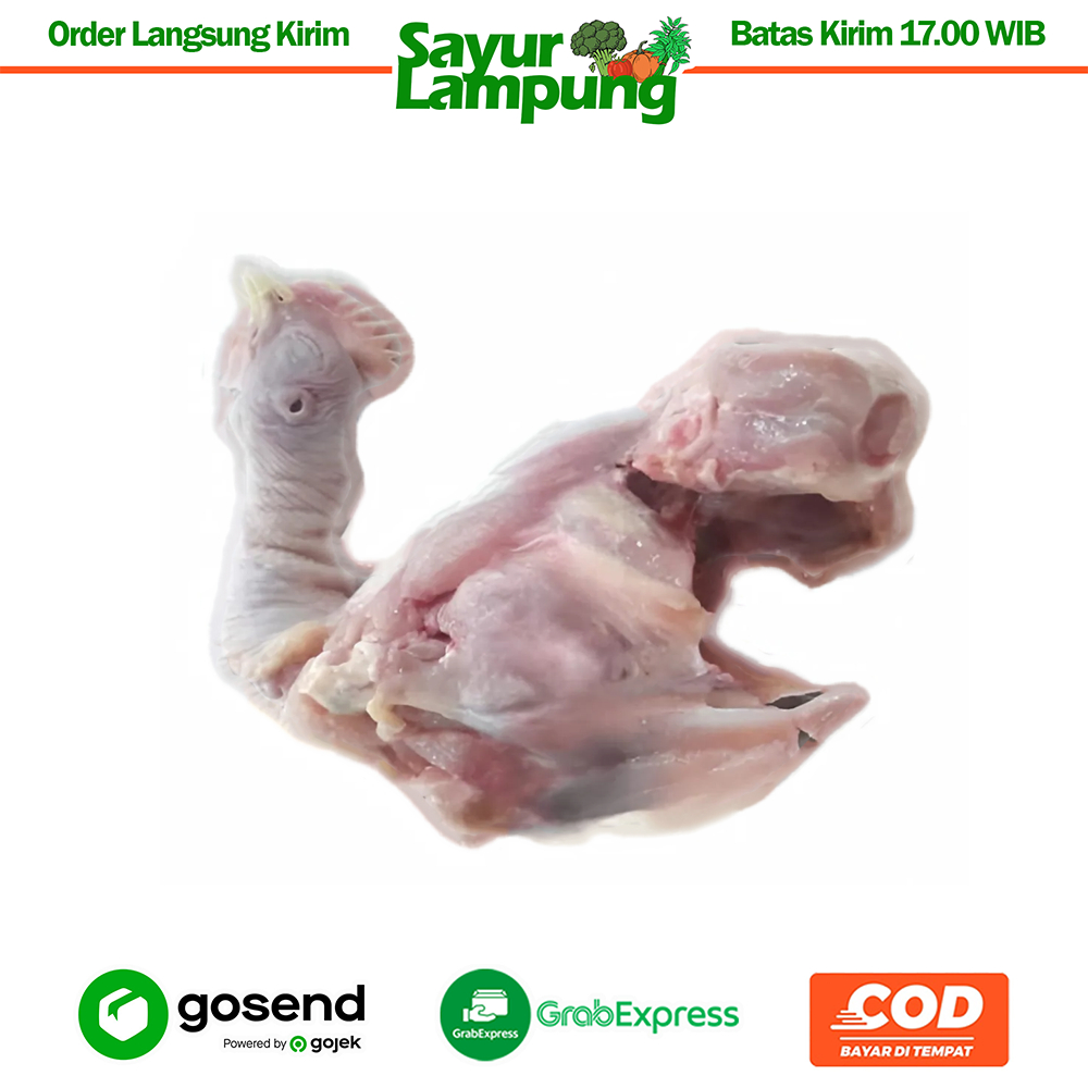 

Kerongkong Kerongkongan Ayam 1 Ekor - Sayur Lampung