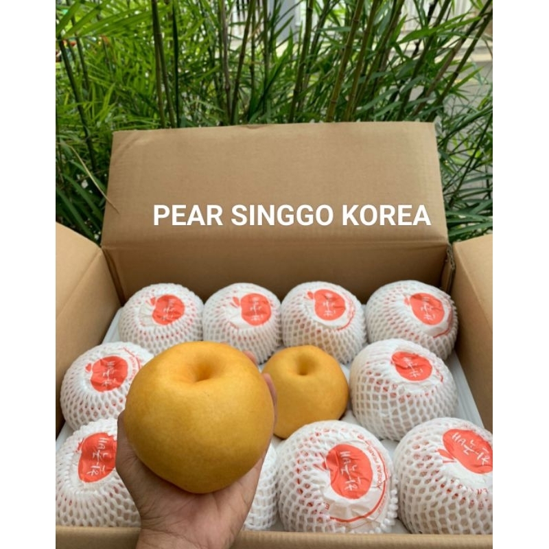 

PEAR SINGGO KOREA ASLI [1 PCS]