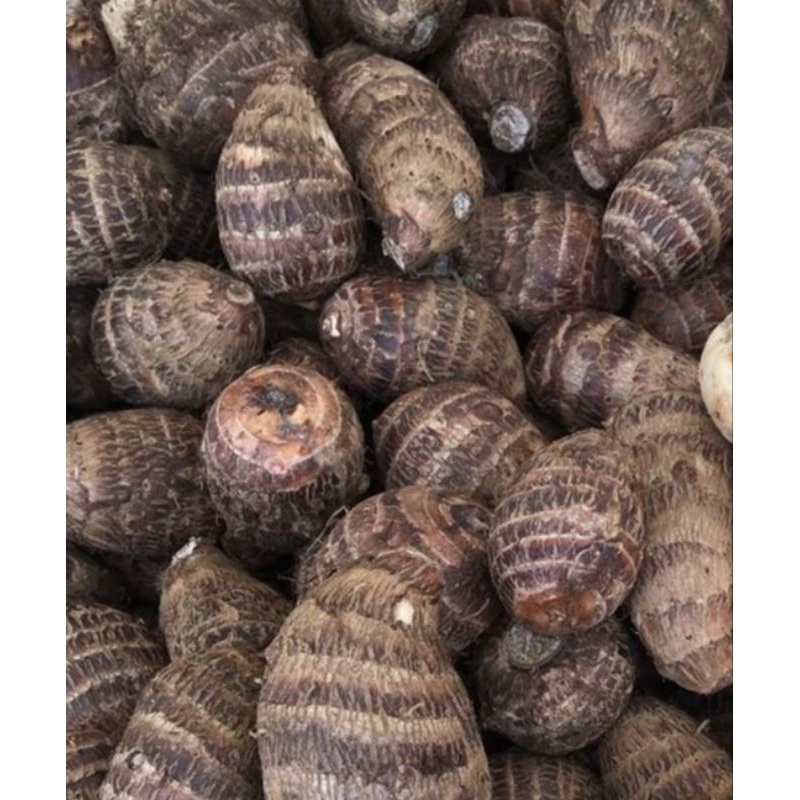 

talas biasa / talas belitung 1kg