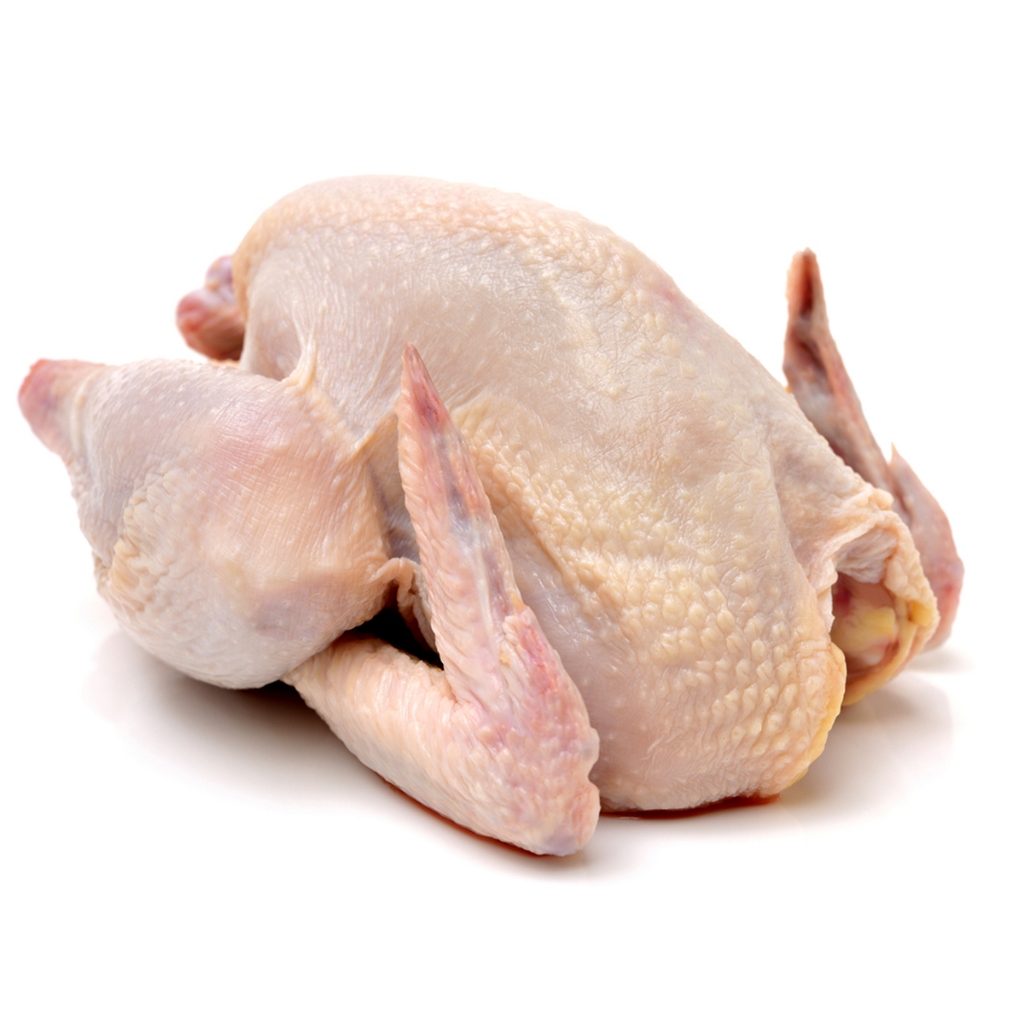 

Frozen Broiler Chicken utuh ukuran 0,9-1kg Ayam Broiler Frozen