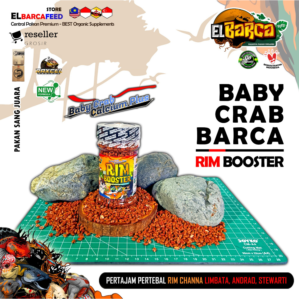 BABY CRAB RIM BOOSTER Pakan Channa Pertajam Pertebal RIM limbata andrao stewarti dorpol auranti