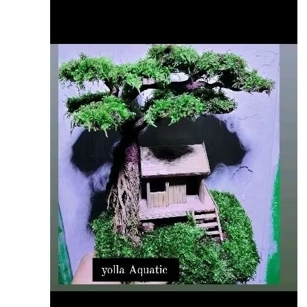 bonsai rumah jumbo full mos hiasan aquarium aquascape