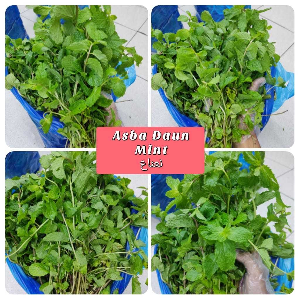 

ASBA SAYUR NANA / DAUN MINT 200G
