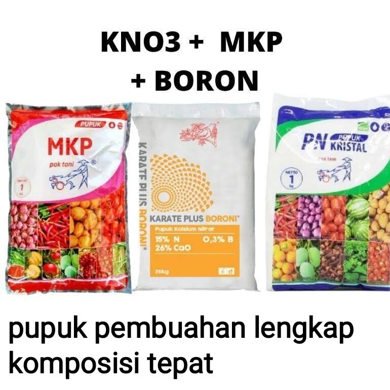 Paket pupuk pembuahan anggur dan tanaman lain, mkp / kno3 / boron
