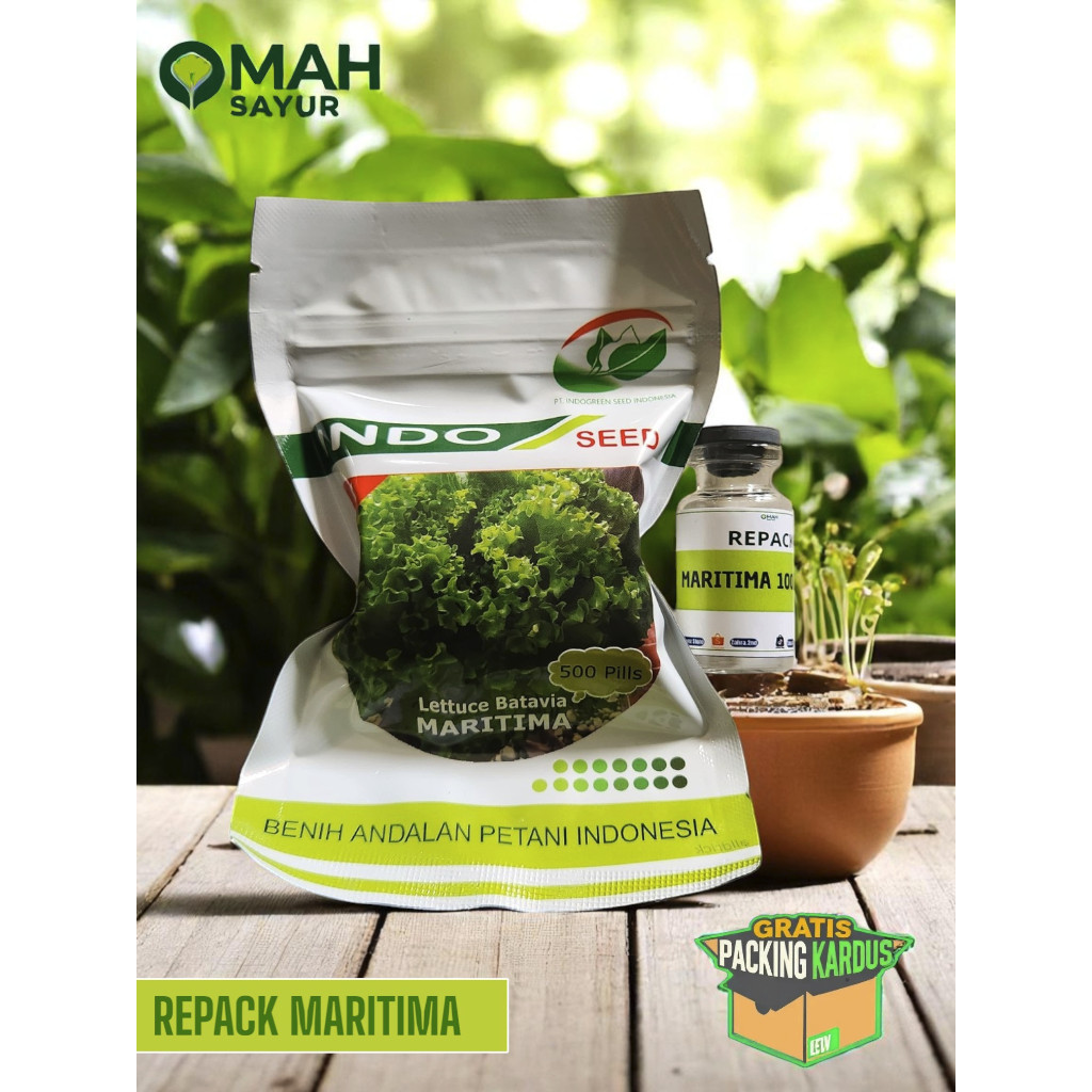 [REPACK-100 Pills] Benih Bibit Selada MARITIMA Batavia Lettuce By Indoseed