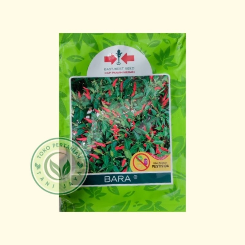 Bibit Benih Cabe Rawit BARA PANAH MERAH