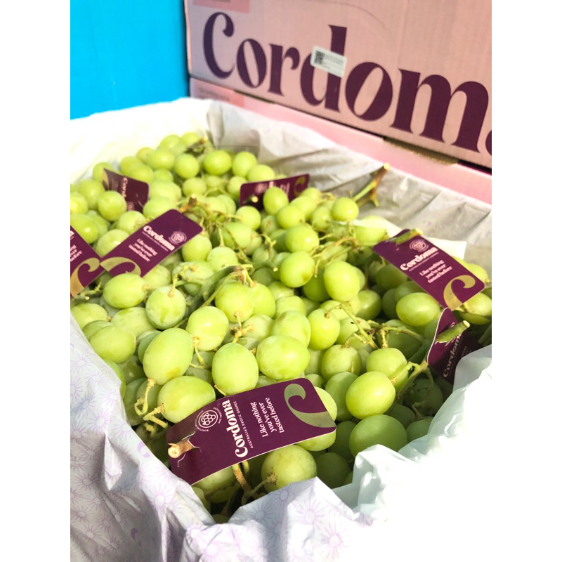 

Anggur Autumn Crisp Aust Cordoma Jumbo Stems Up /kg