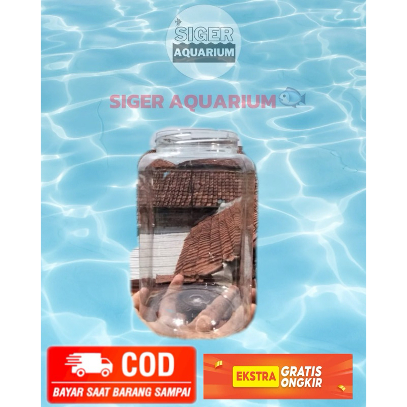 TOPLES CUPANG 2 LITER TANPA TUTUP