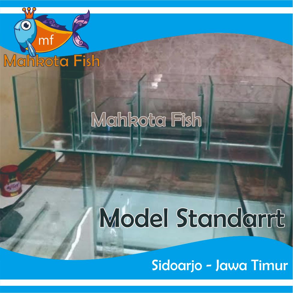 FILTER TALANG KACA SEDANG | FILTER KACA | TALANG KACA | (KHUSUS INSTAN)