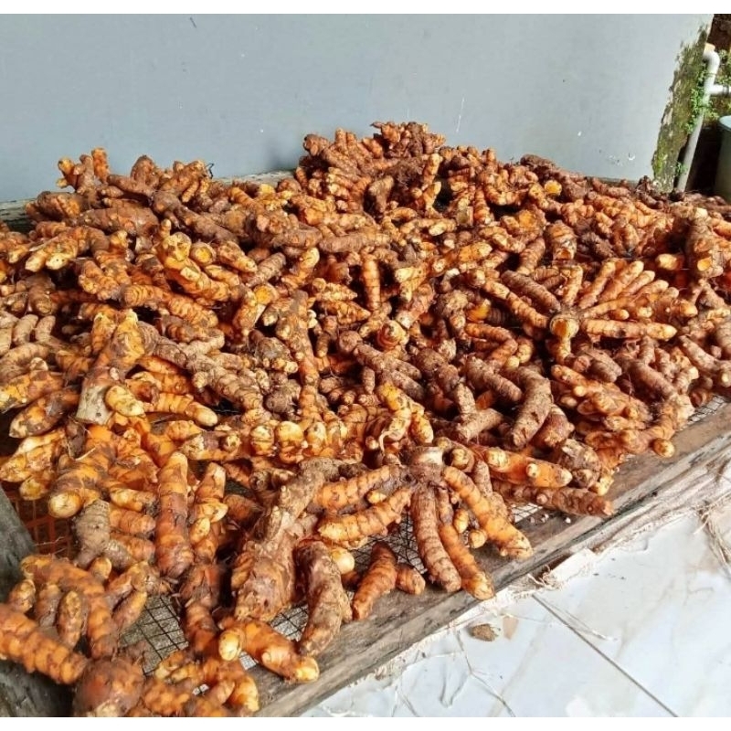 

kunyit murah 1kg dijamin fress