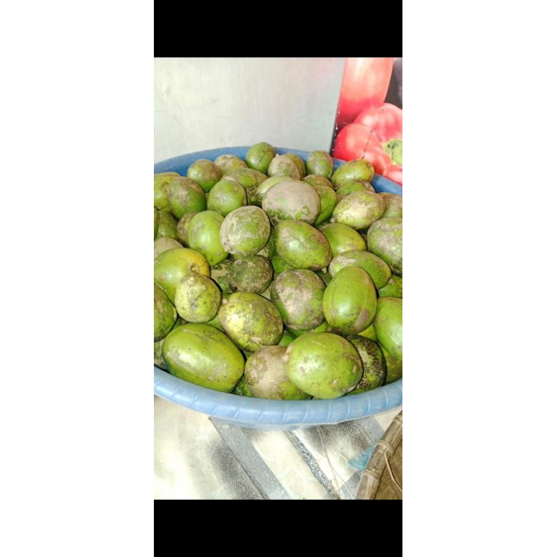 

dindong/kedondong fresh 1kg