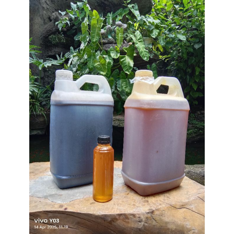 

madu hitam hutan liar sumbawa 5L + bonus 1botol 250ml