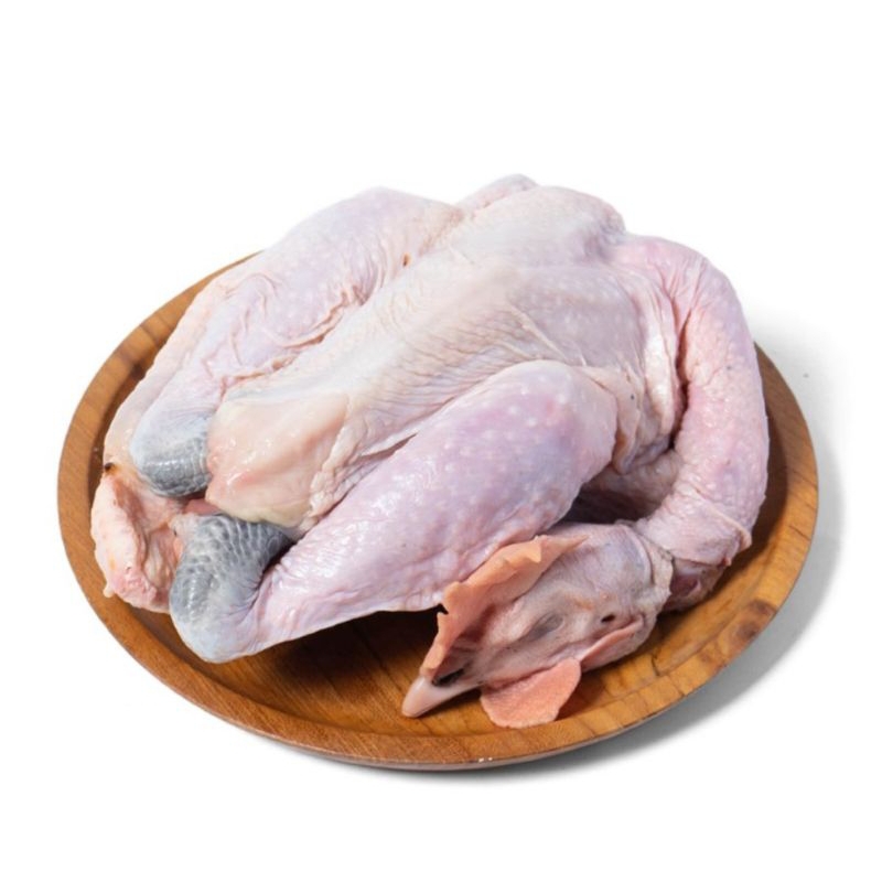 

Ayam kampung utuh berat 1,2kg+