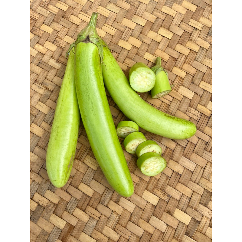 

Terong Hijau Segar 500 Gram – Panen Kebun Sendiri, Siap Masak