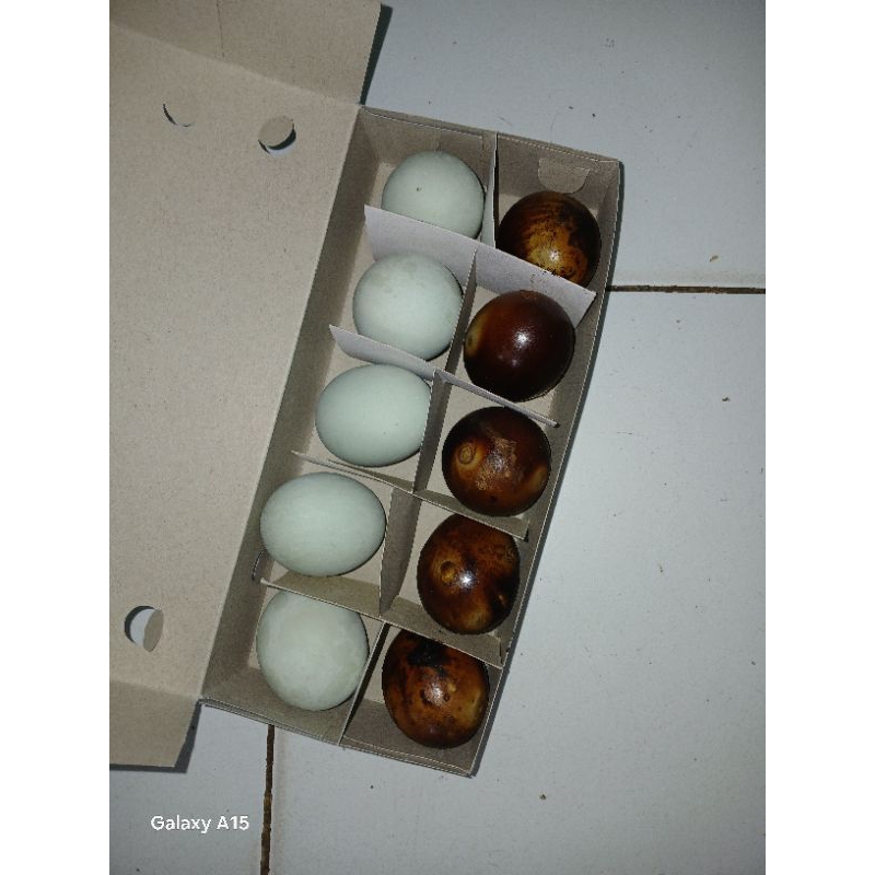 

Telur asin isi 10 mix 5 bakar 5 rebus