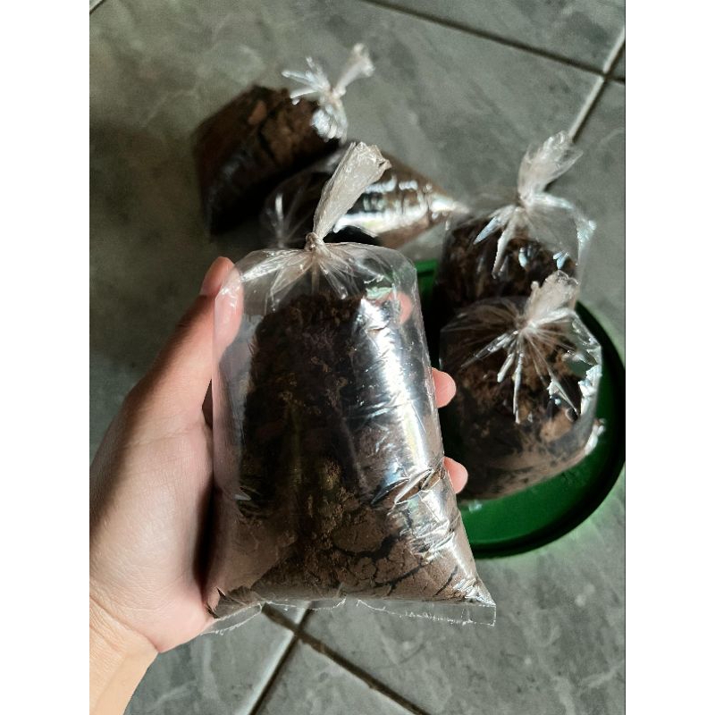 

kopi murni