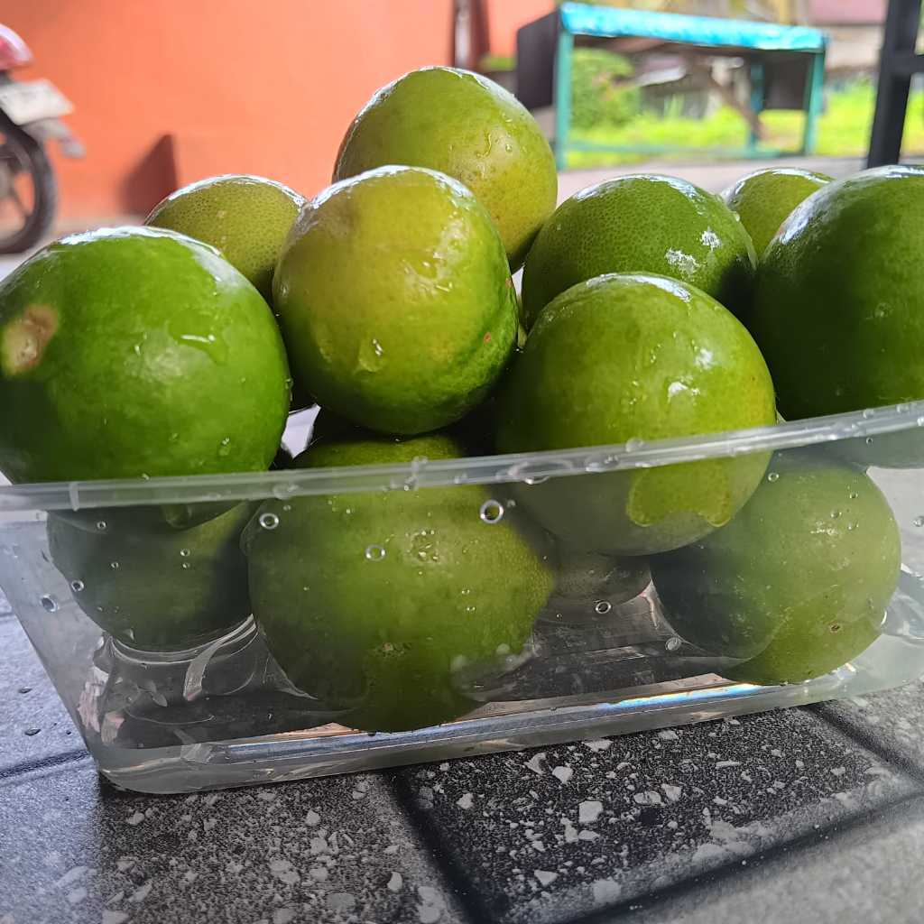 

1 Kg Jeruk Nipis Fresh Petik dari Kebun