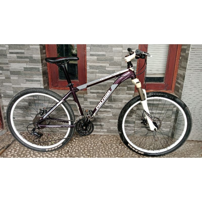 MTB Polygon xtrada 5.0 old mekanik
