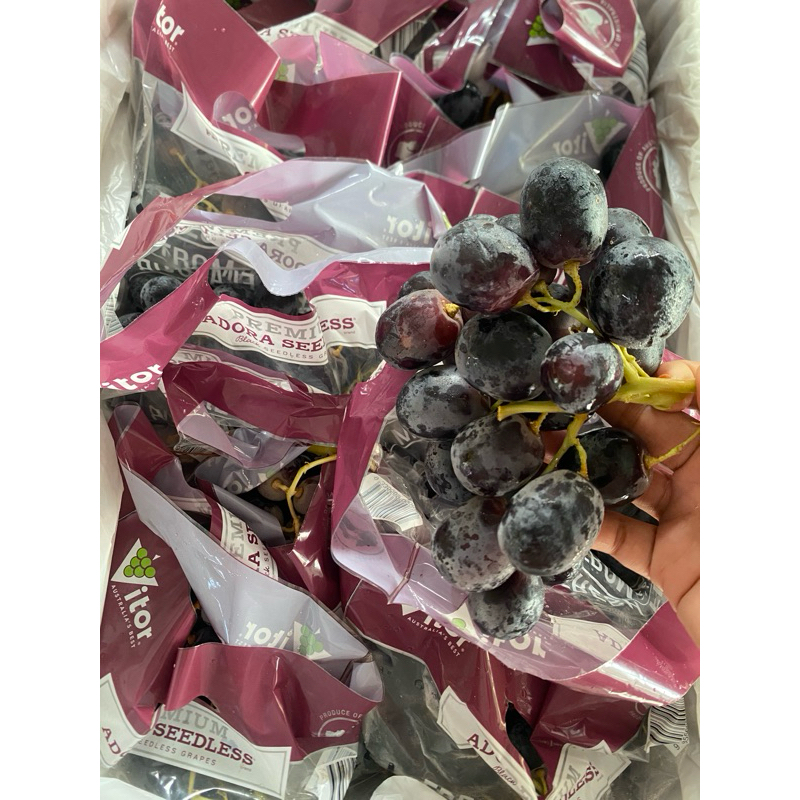 Buah Anggur hitam australia tanpa biji