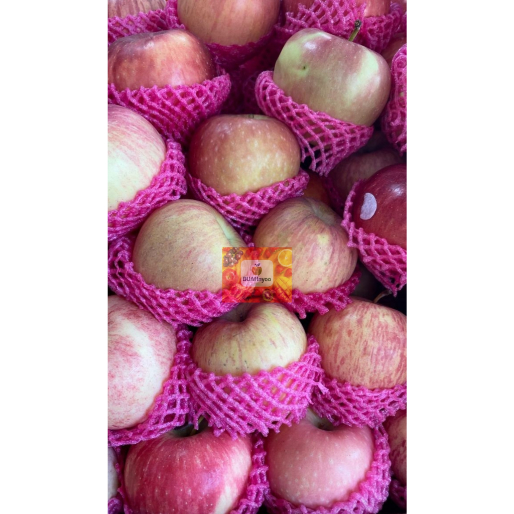 

Apple fujji 1kg/Buah-buahan/Fresh/Segar/Manis renyah/isi 5-6buah