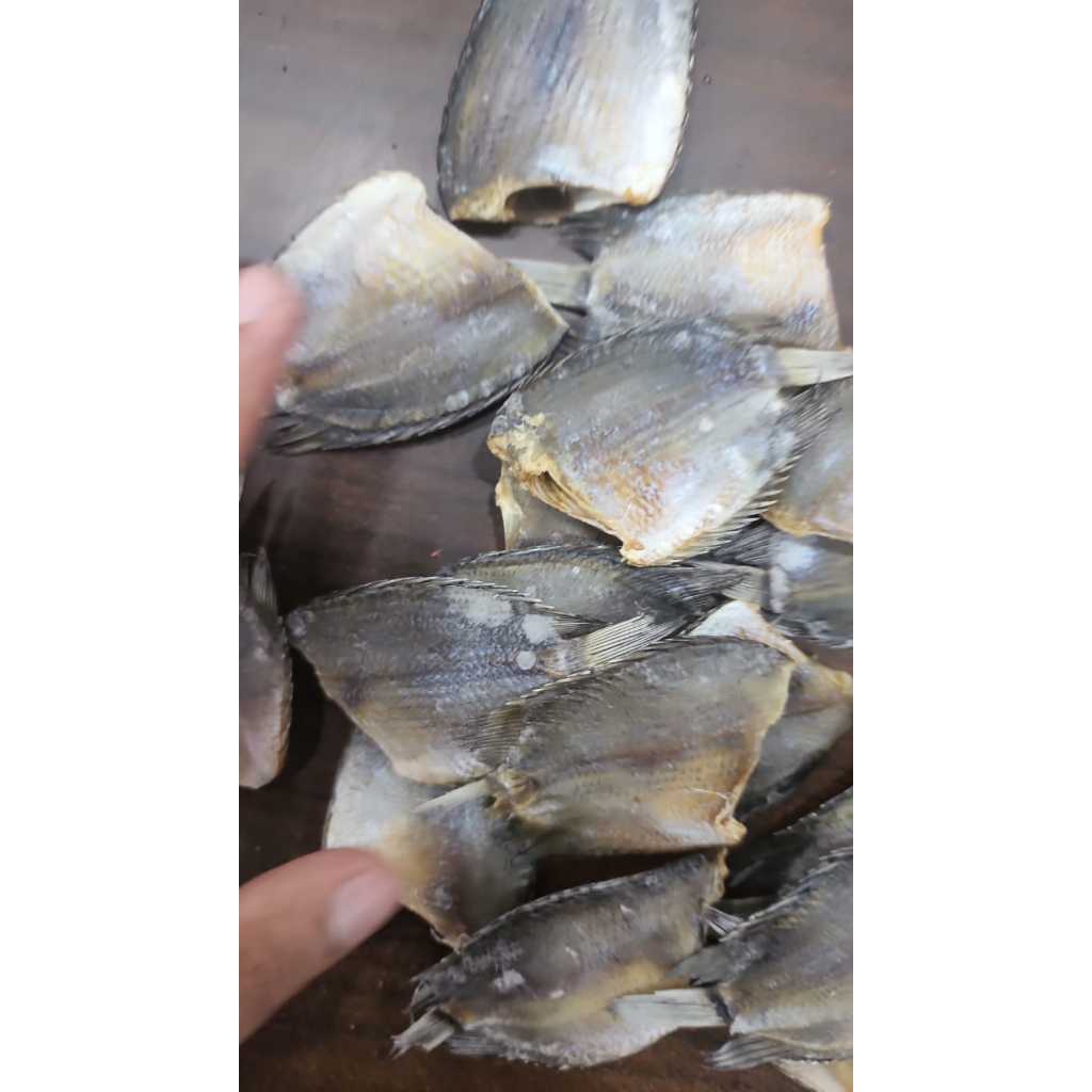 

Sepat Rawa Tawar Premium | 250gr - 1000gr | Ikan Tawar | Kualitas Premium