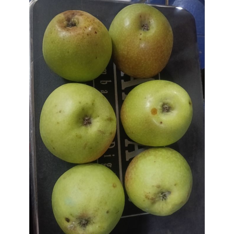 

apel manalagi besar 1kg isi 6-7 buah