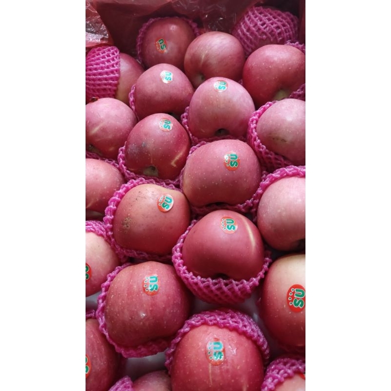 

Apel fuji fresh segar berat 1kg