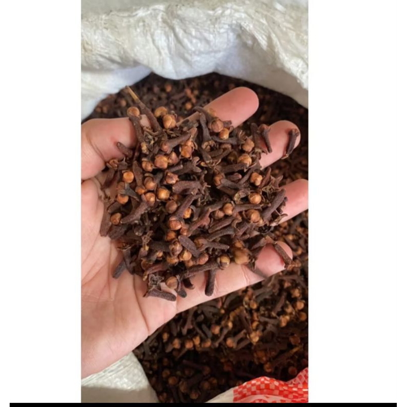

Cengkeh kering/Clove natural Premium