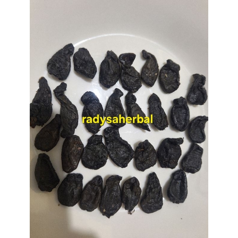 [READY LANGSUNG KIRIM] ECERAN EMPOT AYAM BIANG UTUH MPOT AYAM KUALITAS PREMIUM