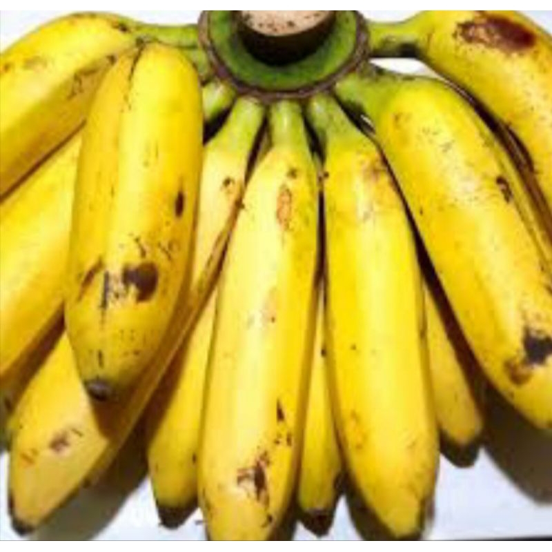 

PROMO Buah Pisang Uli 1kg HARGA TERMURAH