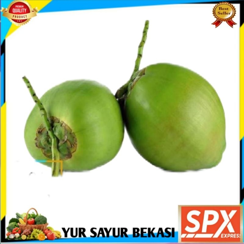 

Kelapa Hijau/Kelapa Ijo (Perbuah).