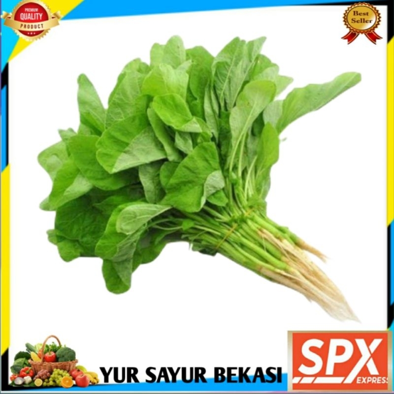 

Bayam Segar/Sayur Bayam Segar Per ikat.