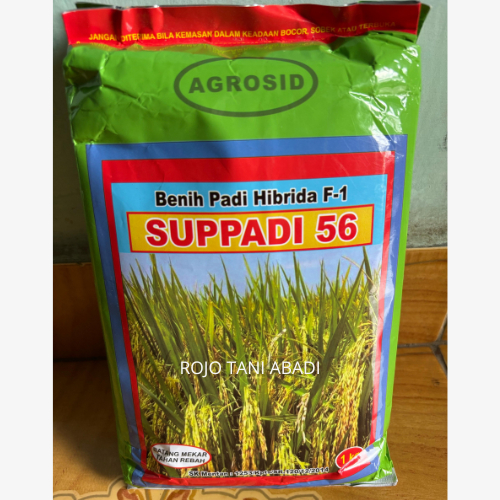 BENIH PADI Padi Supadi 56 Hibrida exp 09 2026