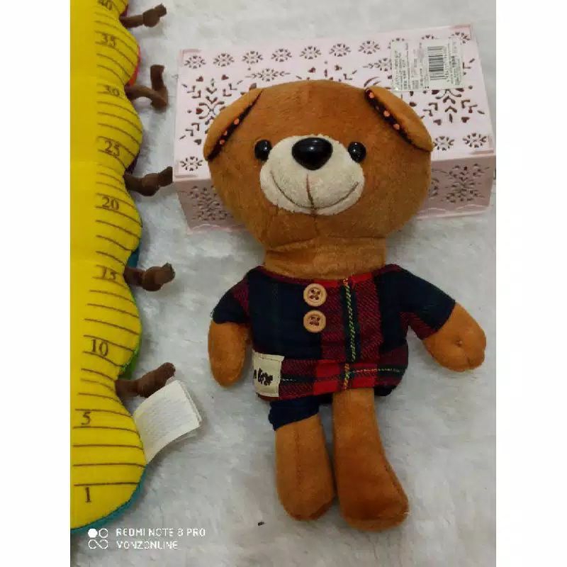 boneka Teddy bear kostum