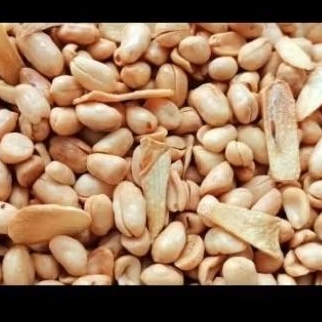 

kacang bawang lokal 500gr / kacang lebaran / kacang goreng / kacang bawang renyah / cemilan bnadung viral