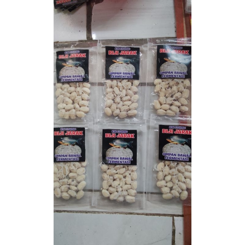 

biji jarak isi 40butir fermentasi
