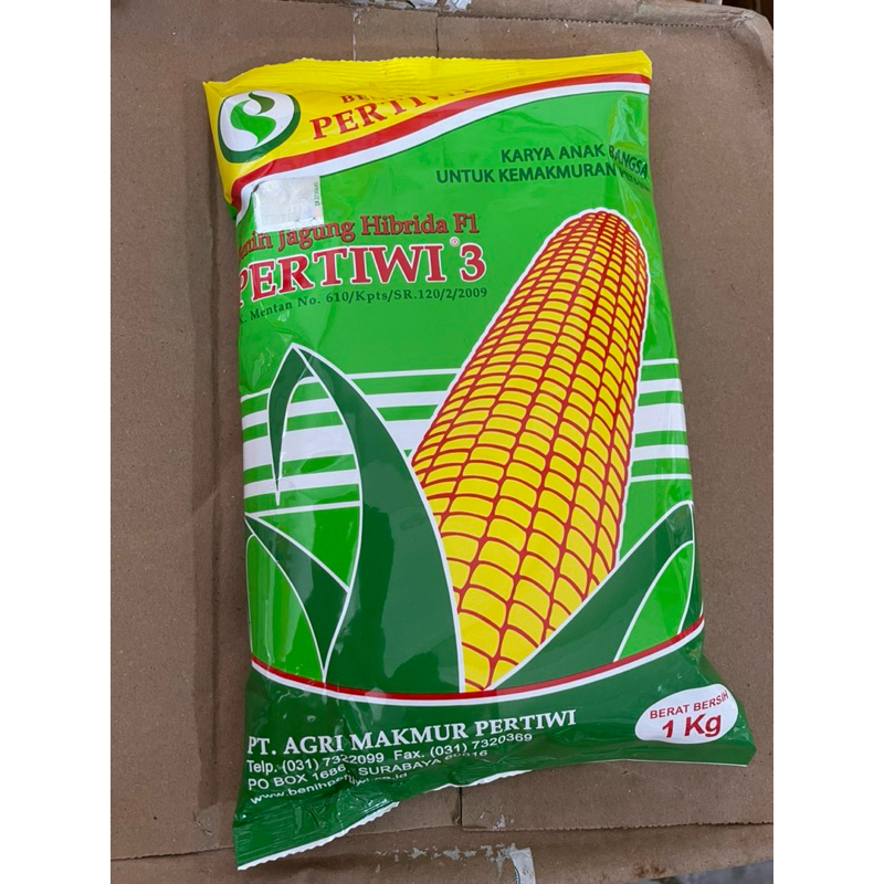 bibit jagung pertiwi 3 kemasan 1kg benih jagung pertiwi 3 exp 2026