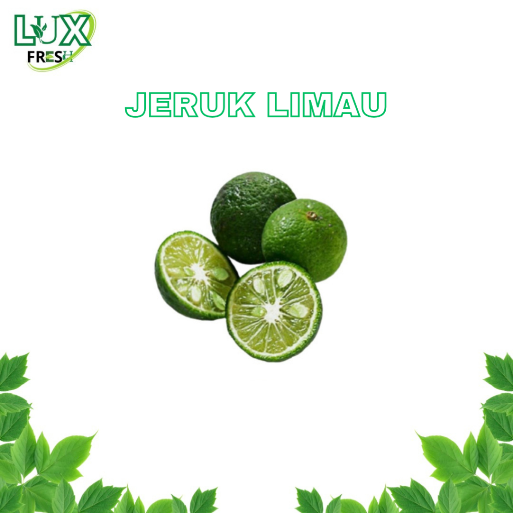 

JERUK LIMAU 1 KG DAN 500 GRAM FRESH BEST SELLER