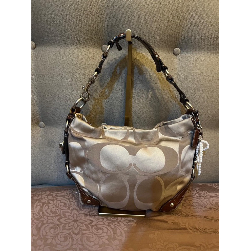 Coach Carly Hobo Authentic