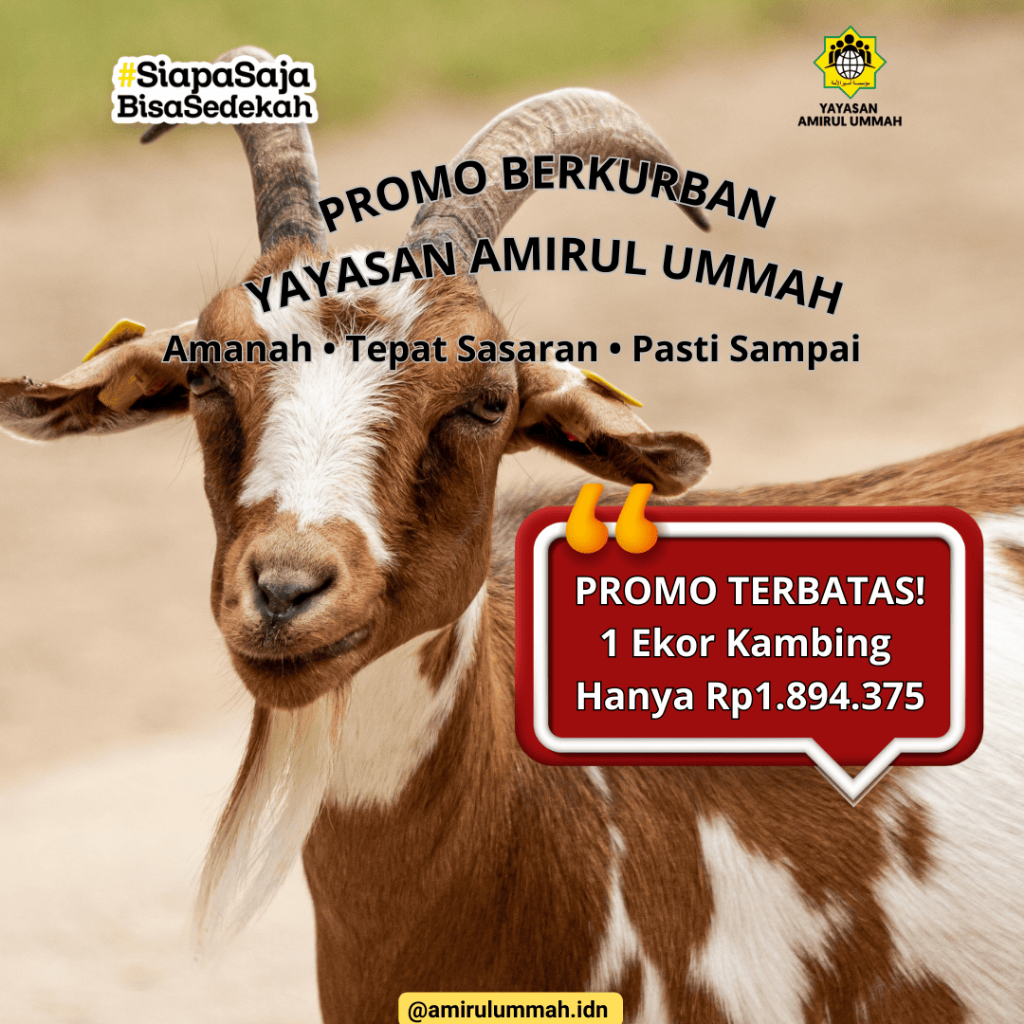 

QURBAN 1 EKOR KAMBING UNTUK PEDALAMAN INDONESIA - Amirul Ummah